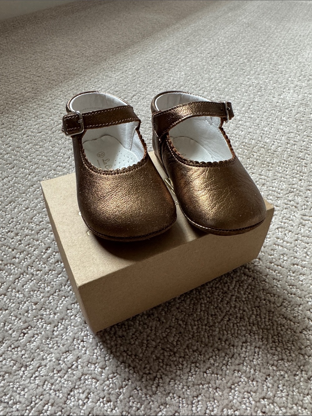 Metallic Bronze Mary Jane Dress Shoes for Kids